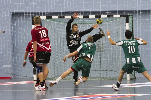 Skånela vs Hammarby Handboll28 - 29