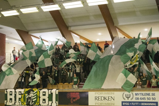 Hammarby Handboll vs Skövde29 - 21