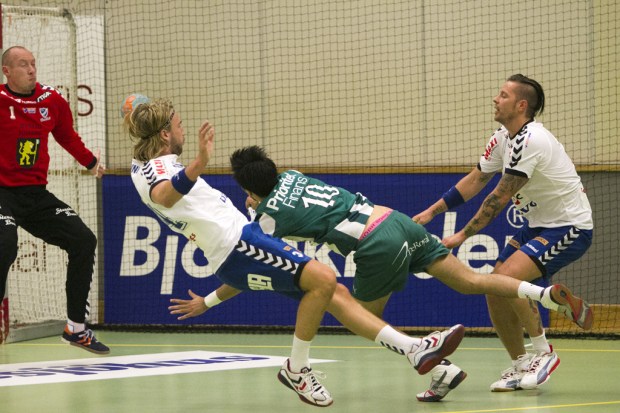 Hammarby Handboll vs Skövde29 - 21