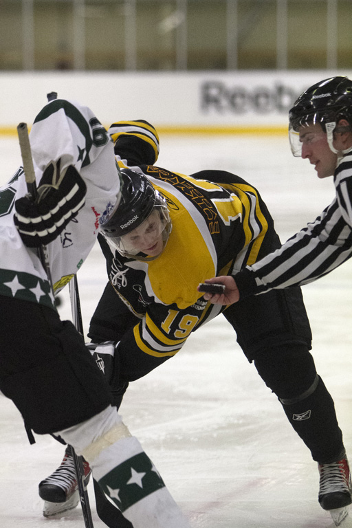 Botkyrka vs Bajen Fans Hockey3-4