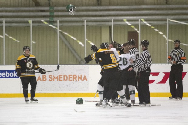 Botkyrka vs Bajen Fans Hockey3-4