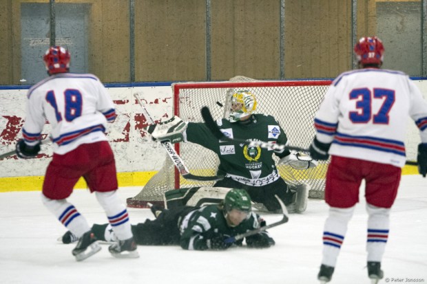 JPG_Bajen_fans_hockey_vs_trångsund_00021