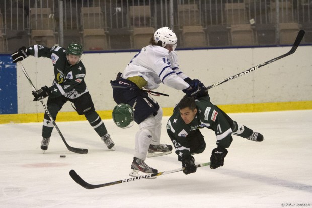 JPEG_Bajen_Fans_Hockey_vs_Gnesta_2_00029