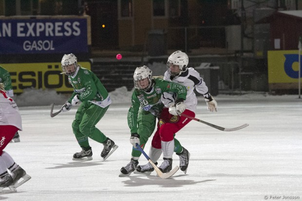 20130109-Hammarby_Dambandy_vs_Bois_00003