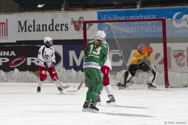 20130109-Hammarby_Dambandy_vs_Bois_00004