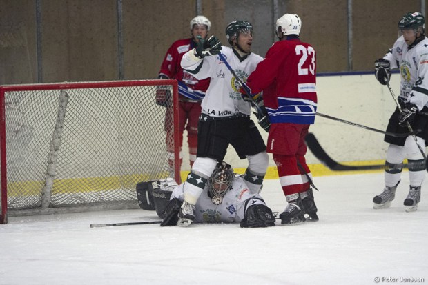 20130115-MB_vs_Bajen_Fans_Hockey_00004