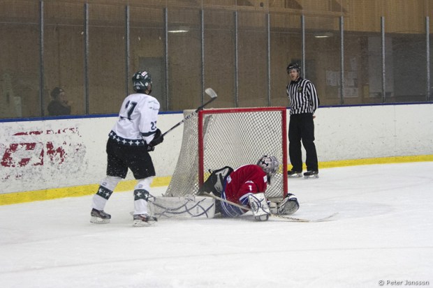 20130115-MB_vs_Bajen_Fans_Hockey_00008