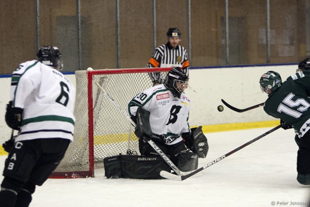 20130118 - Bajen Fans Hockey vs Bålsta_00004