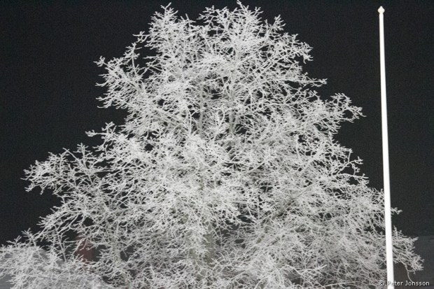 20130123-Hammarby_Dambandy_vs_VSK_00009