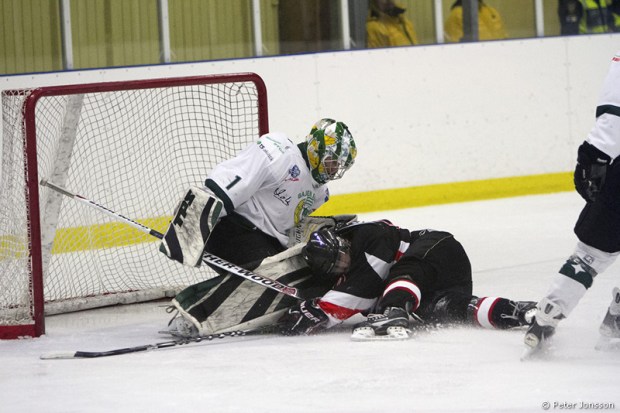20130129 - Haninge vs Bajen Fans Hockey_00008