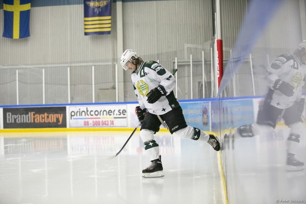 20140105 - Arlanda Wings vs Hammarby Hockey