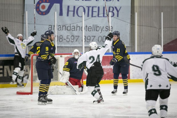 20140105 - Arlanda Wings vs Hammarby Hockey