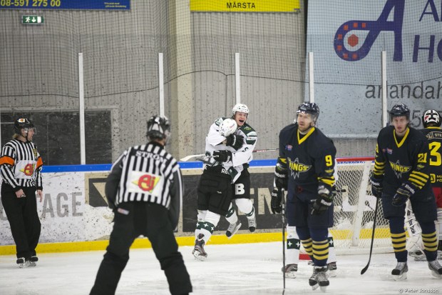 20140105 - Arlanda Wings vs Hammarby Hockey