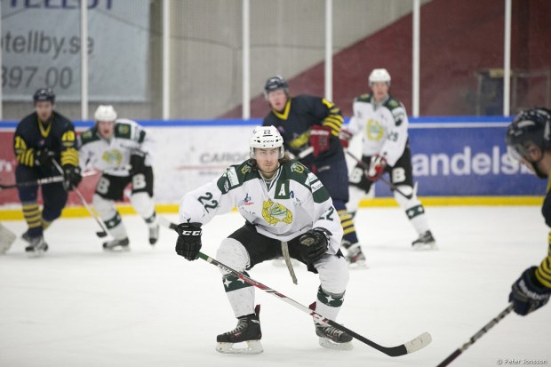 20140105 - Arlanda Wings vs Hammarby Hockey