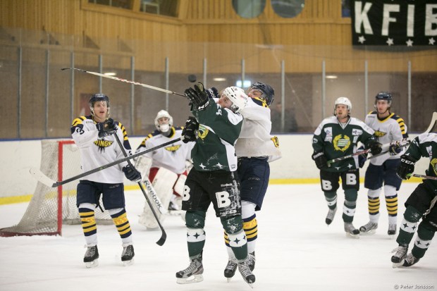 20140119 - Hammarby Hockey vs Arlanda Wings