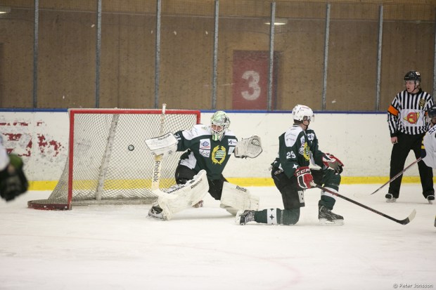 20140119 - Hammarby Hockey vs Arlanda Wings 3 - 0