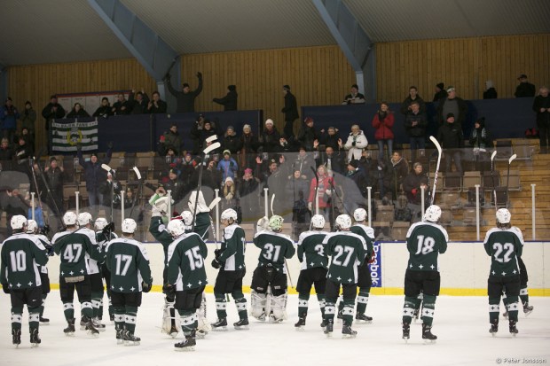20140119 - Hammarby Hockey vs Arlanda Wings 3 - 0