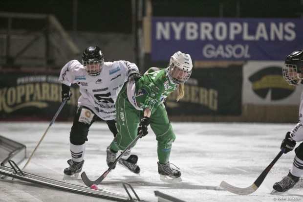 20140226 - Hammarby Dambandy vs Sandviken 1 - 3