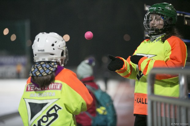 20140226 - Hammarby Dambandy vs Sandviken 1 - 3