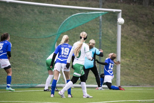 20140301 - Hammarby Damfotboll vs Nyköping 10 - 2