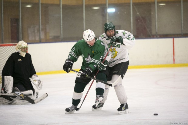 20140327 - Hammarby Hockey vs Supporters