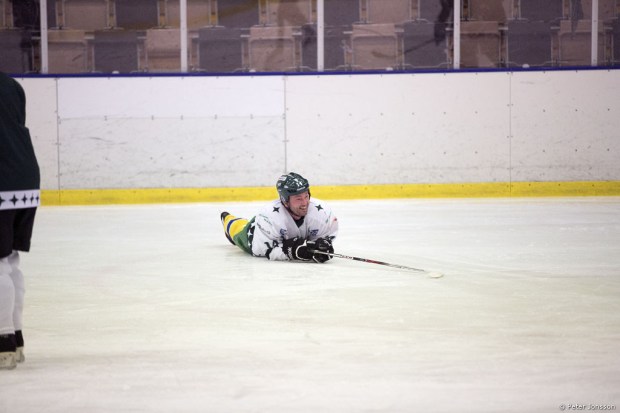 20140327 - Hammarby Hockey vs Supporters