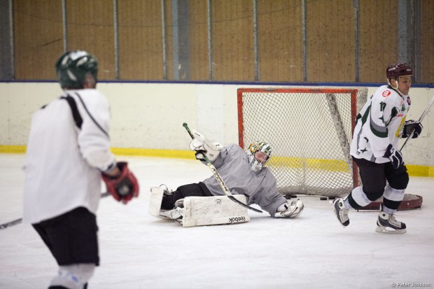 20140327 - Hammarby Hockey vs Supporters