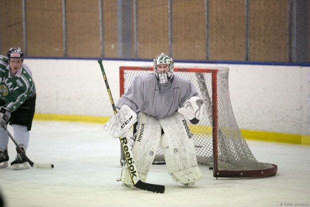 20140327 - Hammarby Hockey vs Supporters