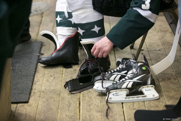 20140327 - Hammarby Hockey vs Supporters
