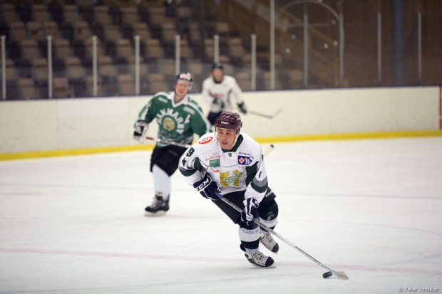 20140327 - Hammarby Hockey vs Supporters
