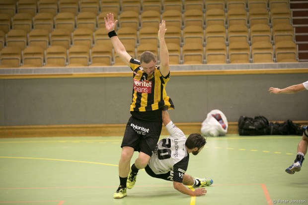 20140907 - Hammarby Damfotboll vs Sunnanå 2 - 0