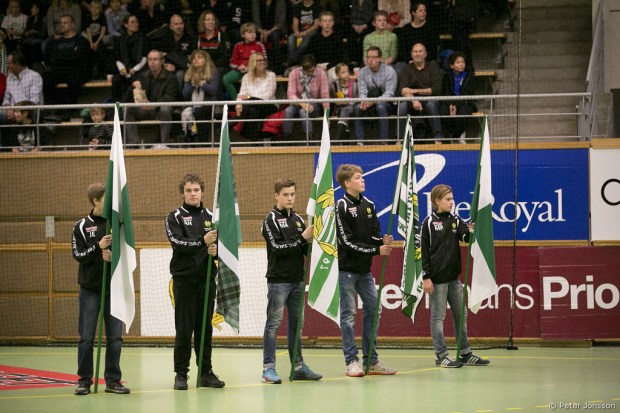 20141108 - Hammarby Handboll vs Kristianstad 24 - 26