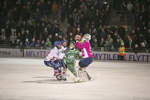 20141114 - Hammarby Bandy vs Edsbyn 4 - 8