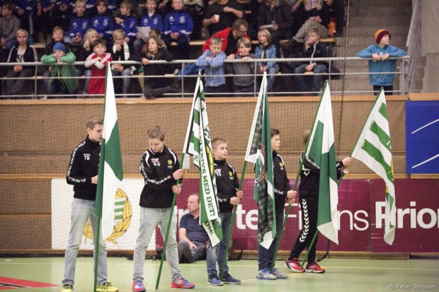 20141118 - Hammarby Handboll vs Guif 27 - 29