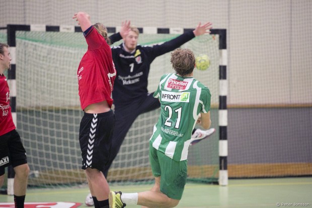 20141118 - Hammarby Handboll vs Guif 27 - 29
