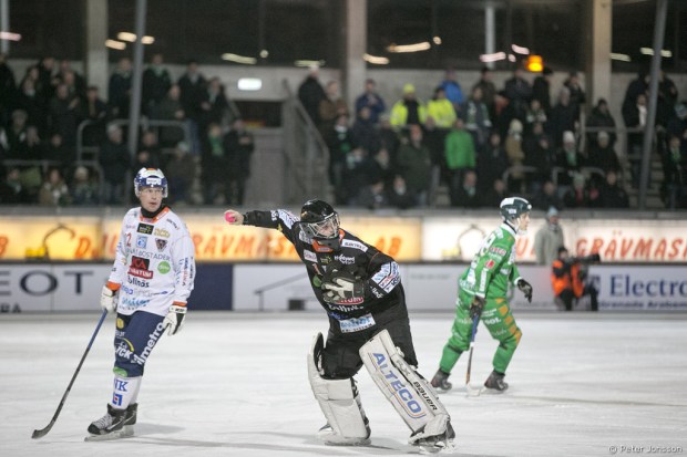 20141126 - Hammarby Bandy vs Bollnäs 3 - 1
