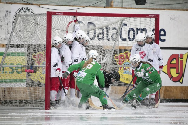 20141208 - Hammarby Dambandy vs Härnösand 9 - 0