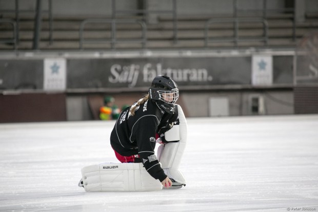 20141208 - Hammarby Dambandy vs Härnösand 9 - 0
