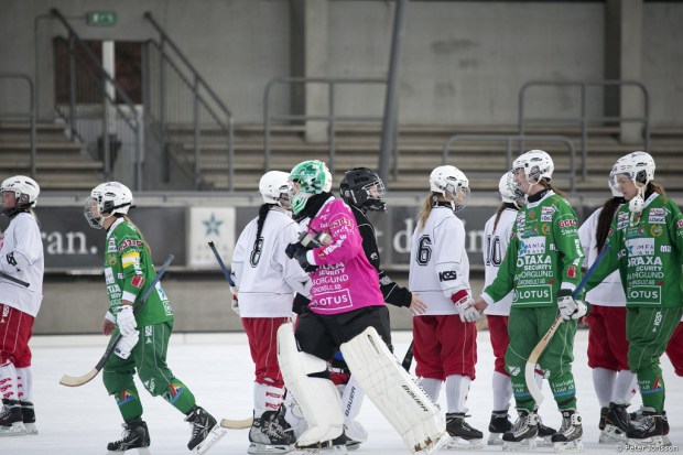 20141208 - Hammarby Dambandy vs Härnösand 9 - 0