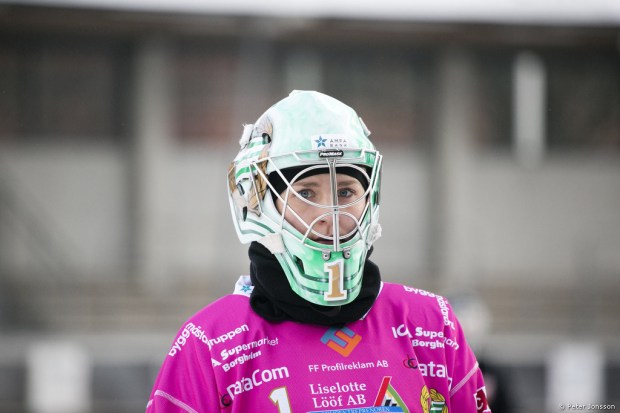 20141208 - Hammarby Dambandy vs Härnösand 9 - 0