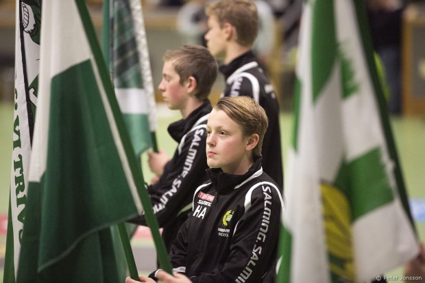 20141216 - Hammarby Handboll vs Redbergslid 29 - 28