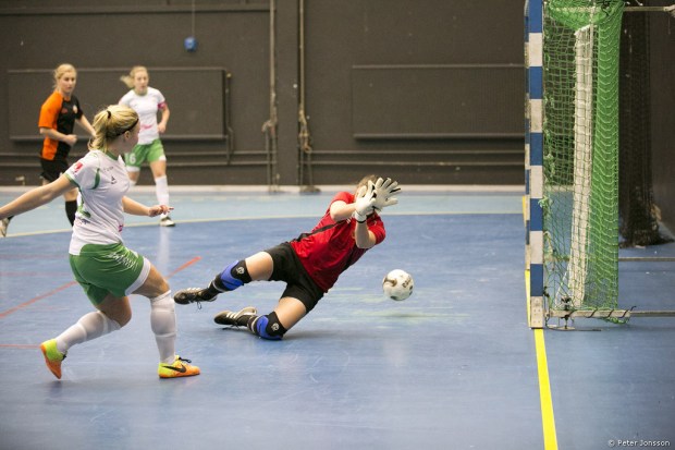 20141221 - Hammarby Damfotboll Snöbollen Cup
