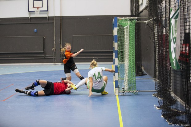 20141221 - Hammarby Damfotboll Snöbollen Cup