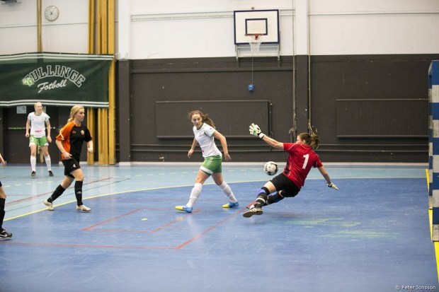 20141221 - Hammarby Damfotboll Snöbollen Cup