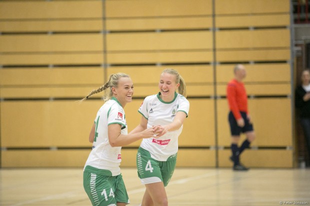 20150103 - Hammarby Damfotboll Haninge Open Cup