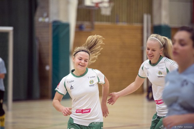 20150103 - Hammarby Damfotboll Haninge Open Cup