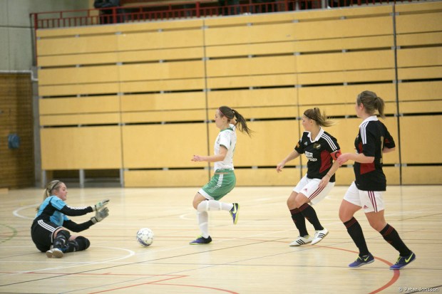 20150104 - Hammarby Damfotboll Haninge Open Cup