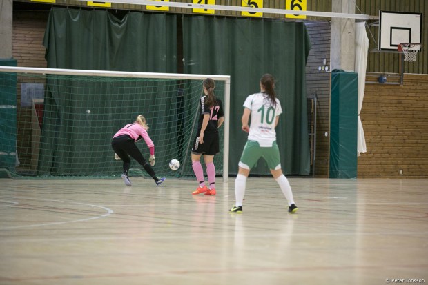 20150104 - Hammarby Damfotboll Haninge Open Cup