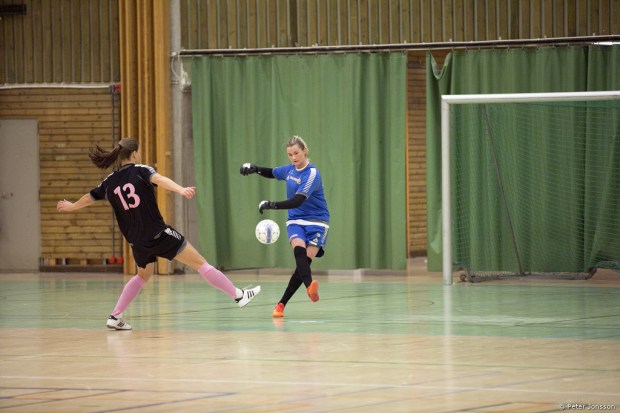 20150104 - Hammarby Damfotboll Haninge Open Cup