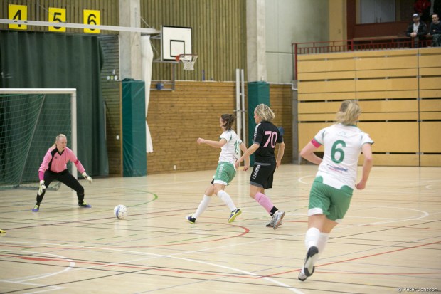 20150104 - Hammarby Damfotboll Haninge Open Cup